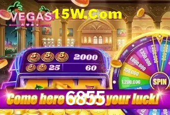 Estatísticas 6855
