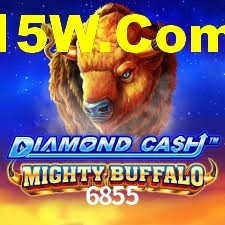 Tournaments 6855